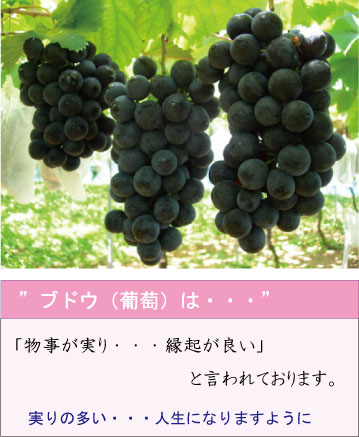 ブドウ イメージ